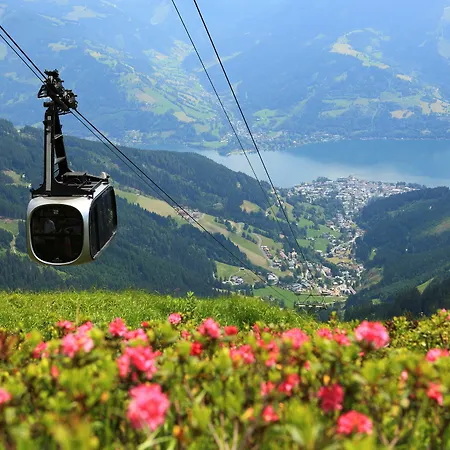 Trinker Zell am See